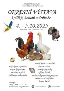 obrazek-whatsapp--2025-08-21-v-09.19.20_15c9ad25.jpg